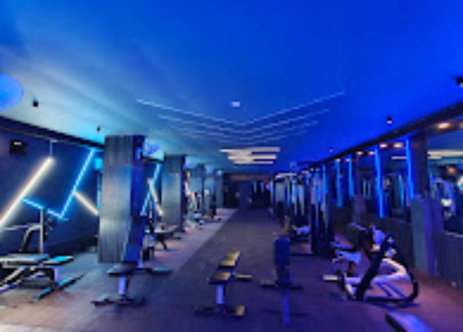 Muscular Mastiff Gym interior